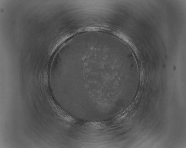 X0000068890297200605081327