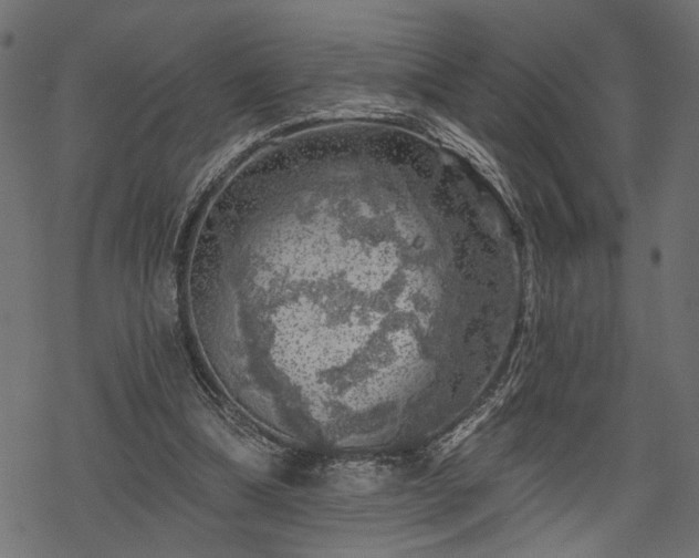 X0000068890298200605081327