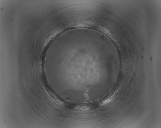 X0000068890299200605081326