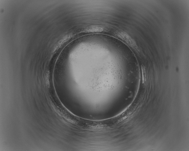 X0000068890300200605081326