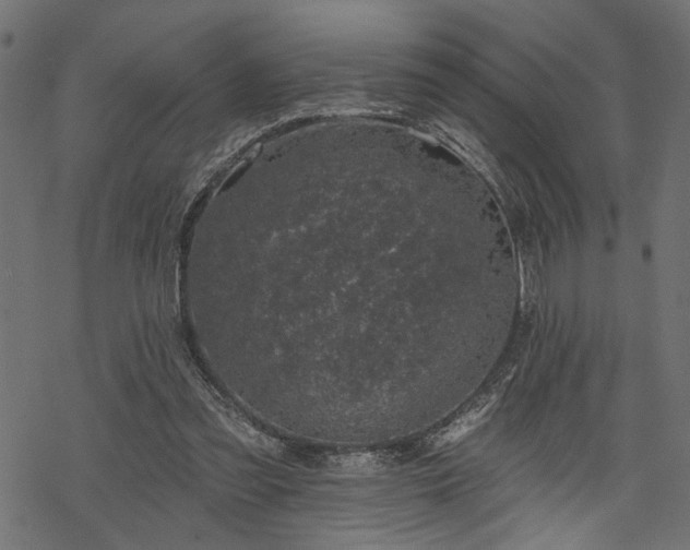 X0000068890301200605081326