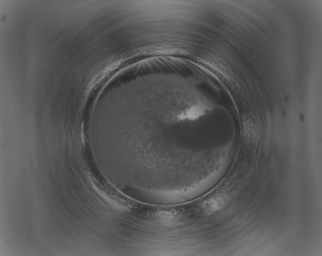 X0000068890302200605081326