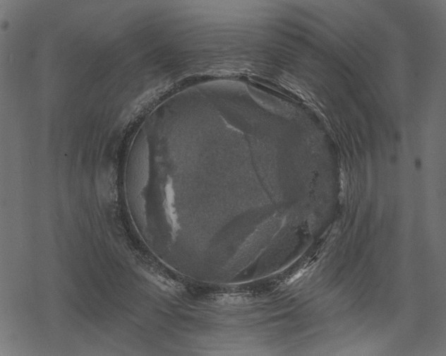 X0000068890303200605081326