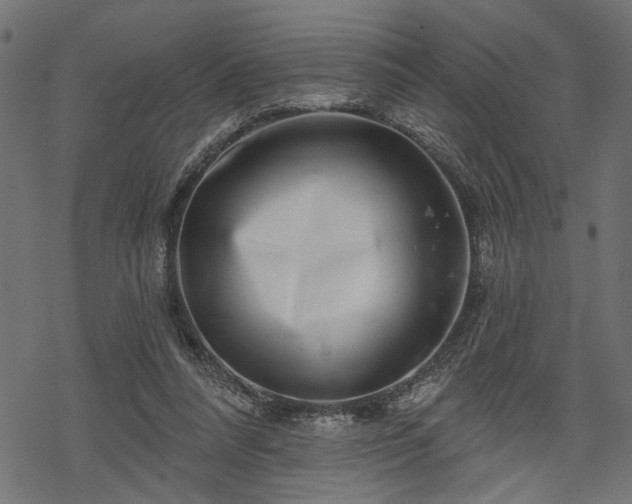 X0000068890304200605081326