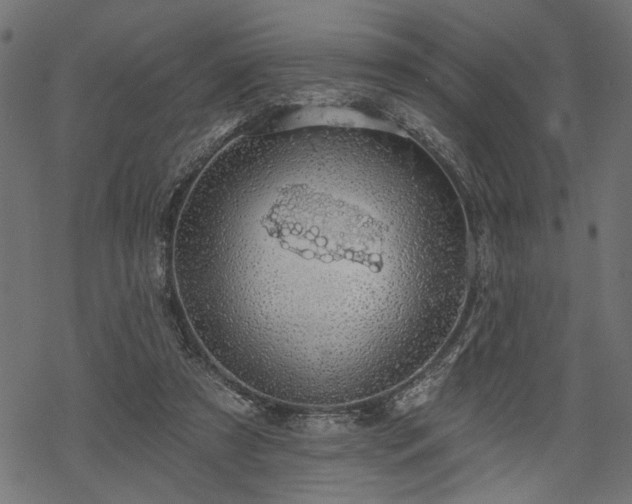 X0000068890305200605081326