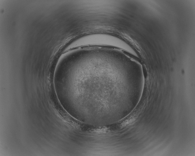 X0000068890306200605081326