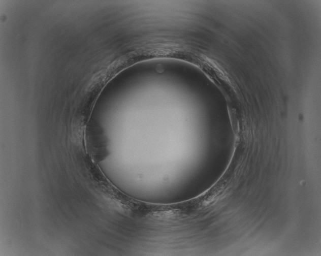 X0000068890307200605081326