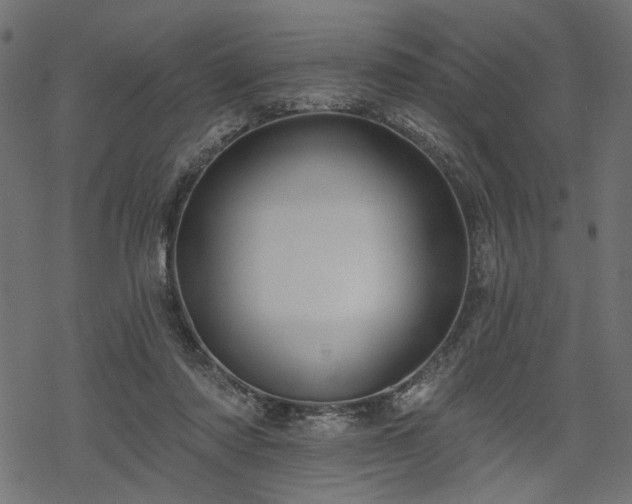 X0000068890310200605081326