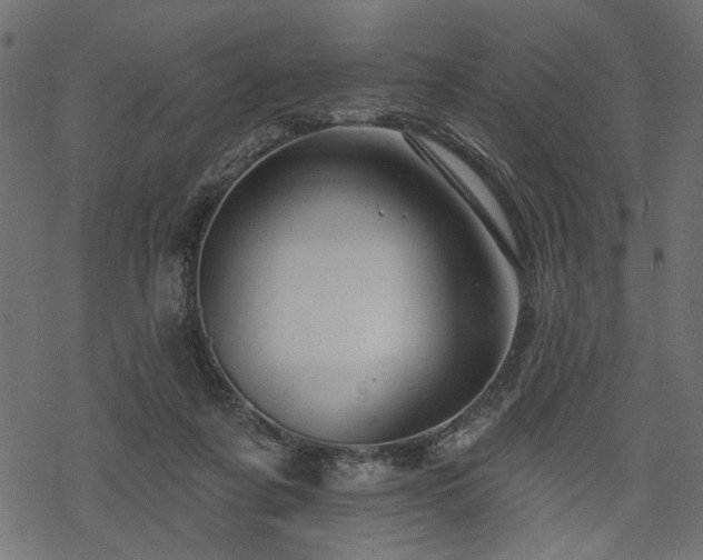 X0000068890311200605081326