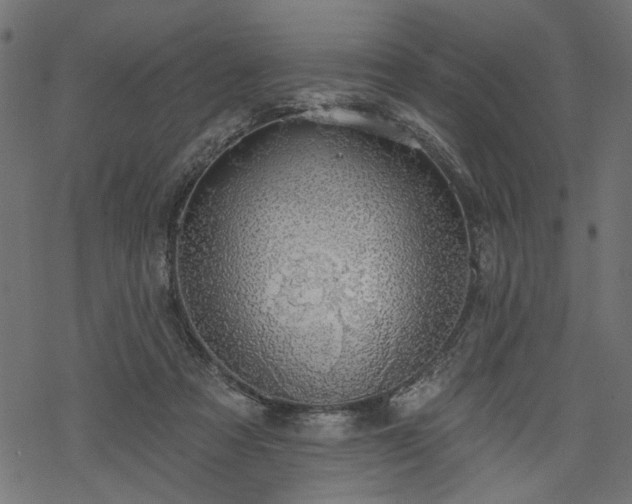 X0000068890313200605081326