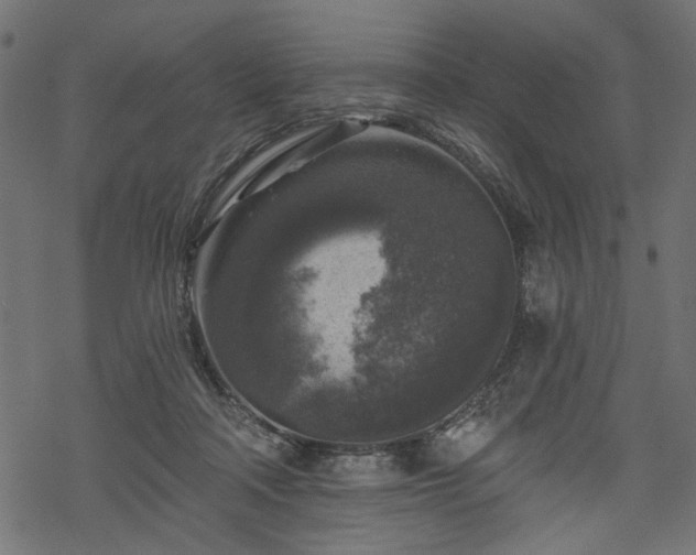 X0000068890314200605081326