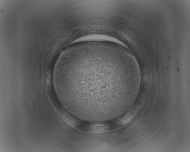 X0000068890315200605081326