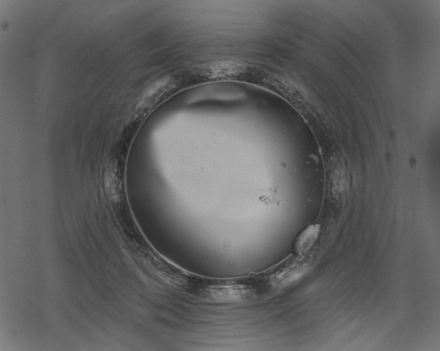 X0000068890316200605081326