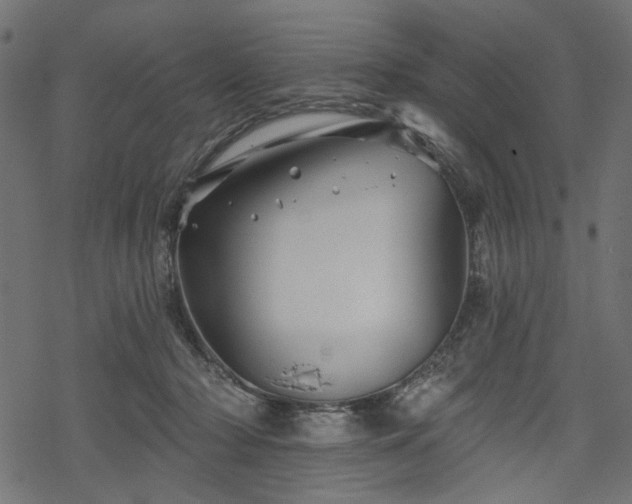 X0000068890318200605081326