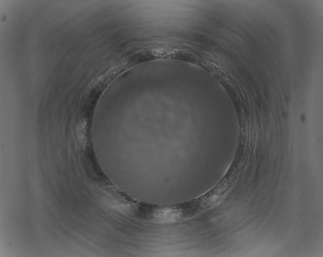 X0000068890319200605081326