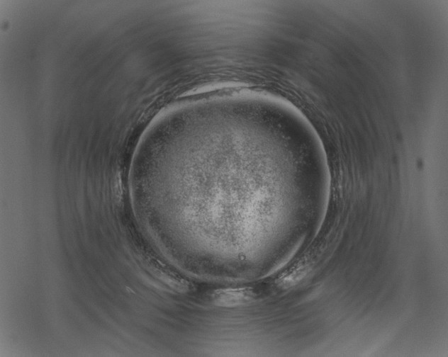 X0000068890320200605081326