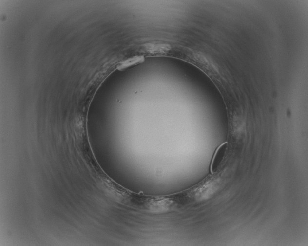 X0000068890321200605081326