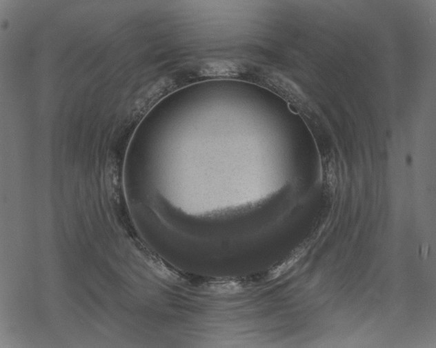 X0000068890322200605081326