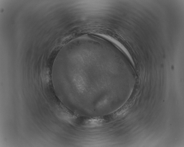 X0000068890323200605081326