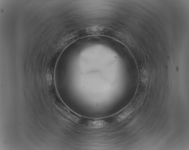 X0000068890324200605081326