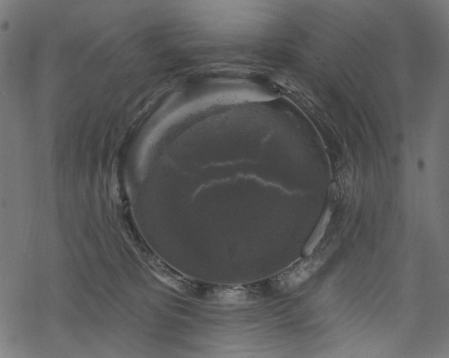 X0000068890325200605081326