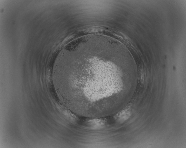 X0000068890326200605081326