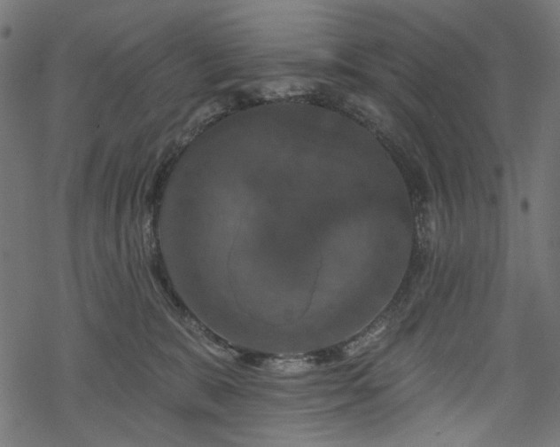 X0000068890327200605081326