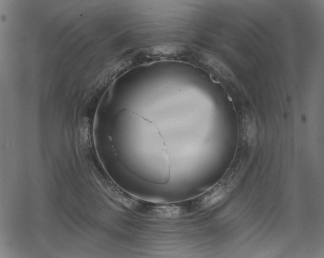 X0000068890328200605081326