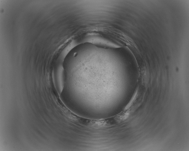 X0000068890329200605081326