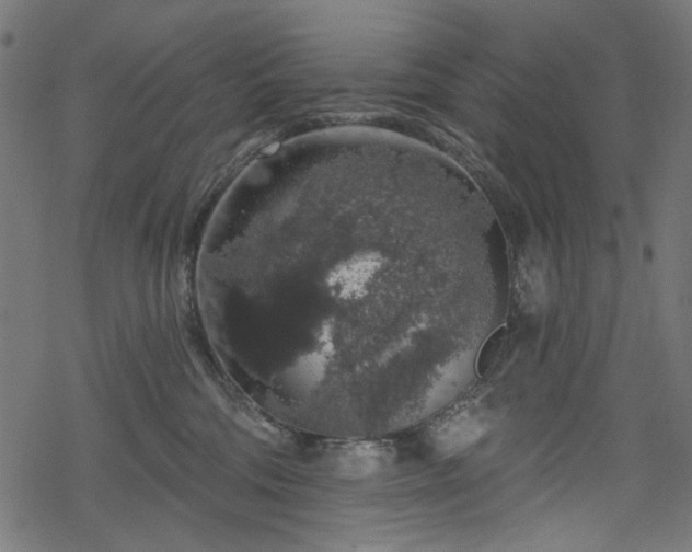 X0000068890330200605081326