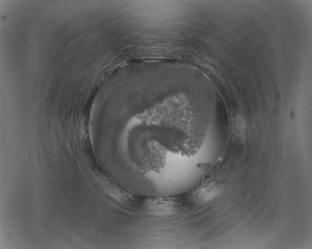 X0000068890331200605081326