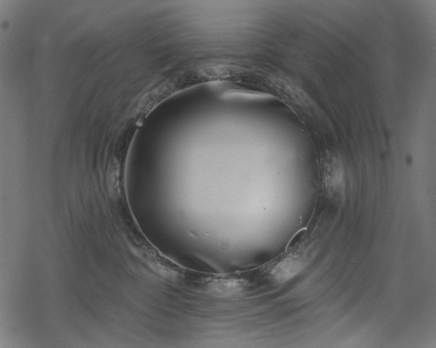 X0000068890332200605081326