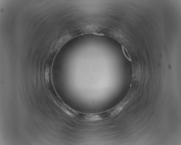 X0000068890334200605081326