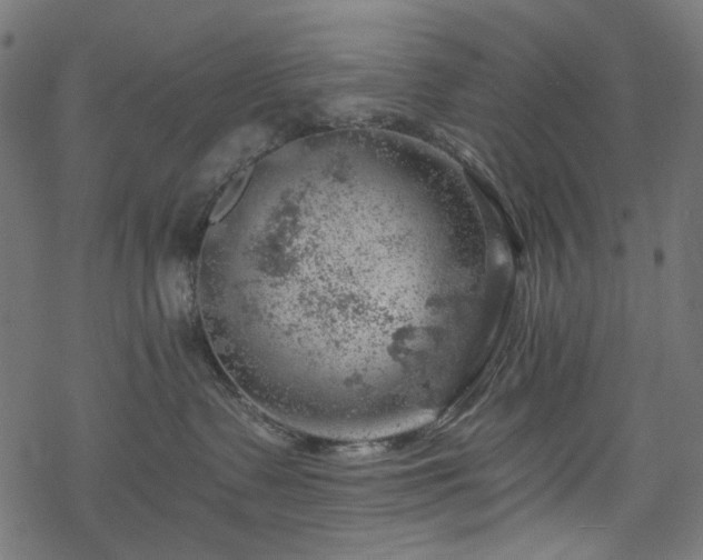 X0000068890335200605081326