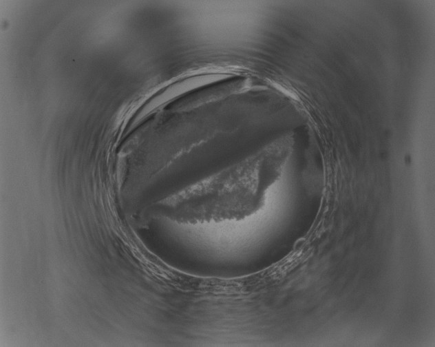 X0000068890337200605081325