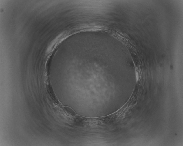 X0000068890339200605081325