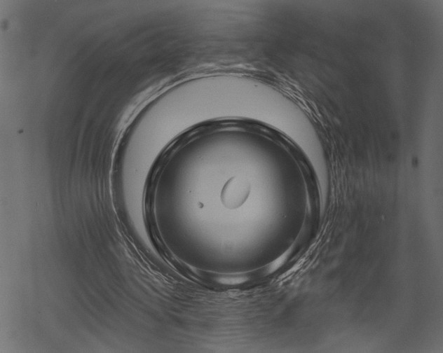 X0000068890340200605081325