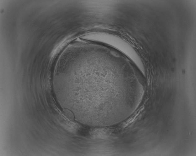 X0000068890341200605081325