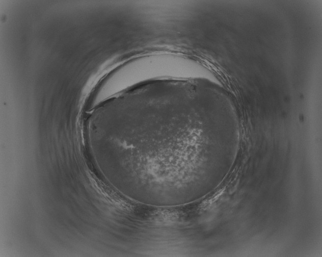 X0000068890343200605081325