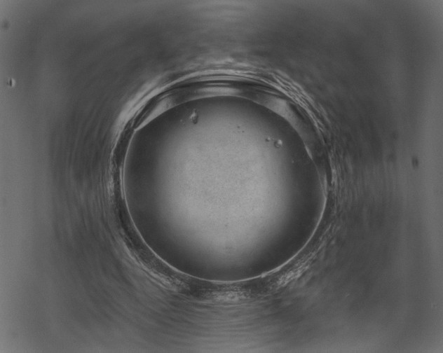 X0000068890344200605081325