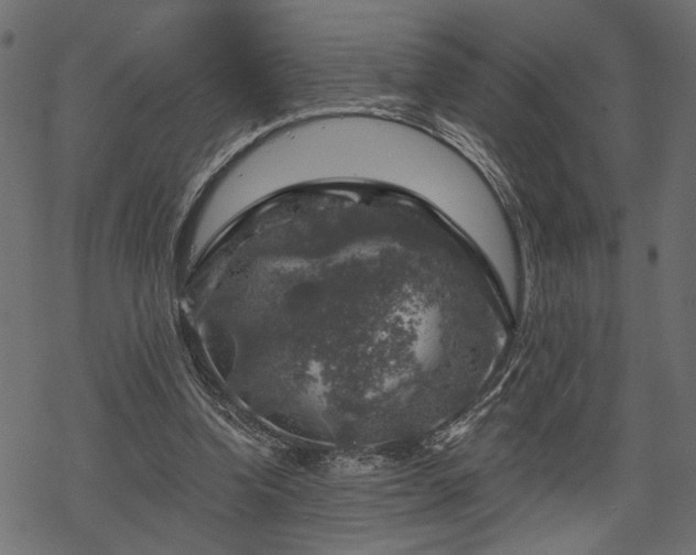 X0000068890346200605081325