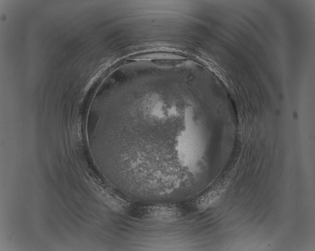 X0000068890347200605081325