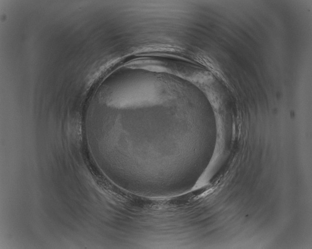 X0000068890348200605081325