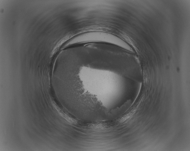 X0000068890349200605081325