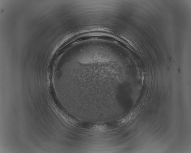 X0000068890350200605081325