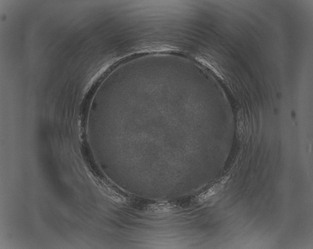 X0000068890351200605081325