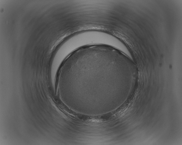 X0000068890352200605081325