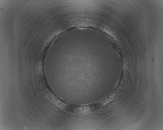 X0000068890353200605081325