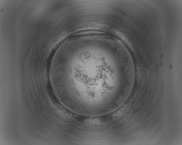 X0000068890354200605081325