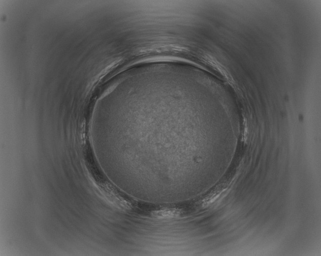 X0000068890356200605081325